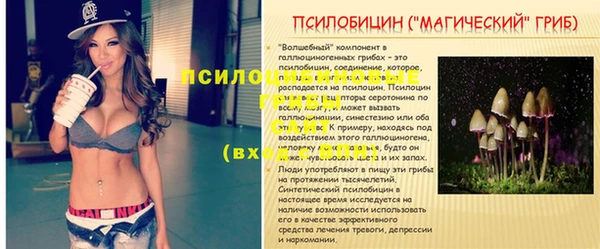 дживик Краснослободск