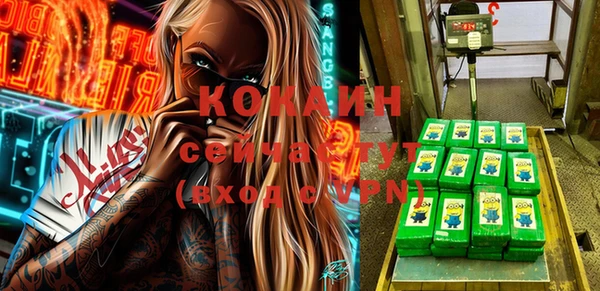 дживик Краснослободск
