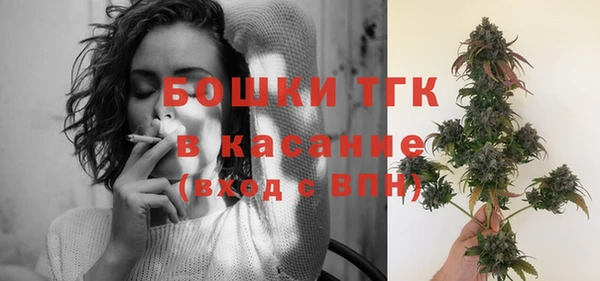 дживик Краснослободск