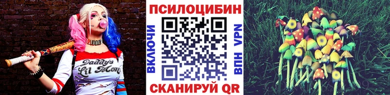 Купить  Новомосковск  Псилоцибиновые грибы Psilocybine cubensis 